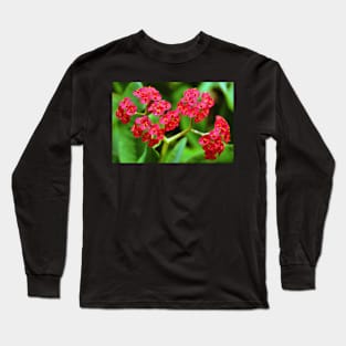 Crown of Thorns Long Sleeve T-Shirt